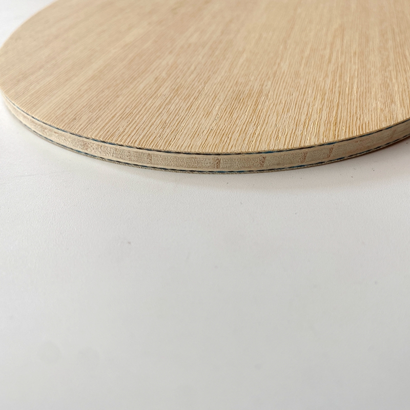 Lemuria VIS Karbon Fiber Masa  - Table Tennis Viscaria incelemesi ve fiyatı